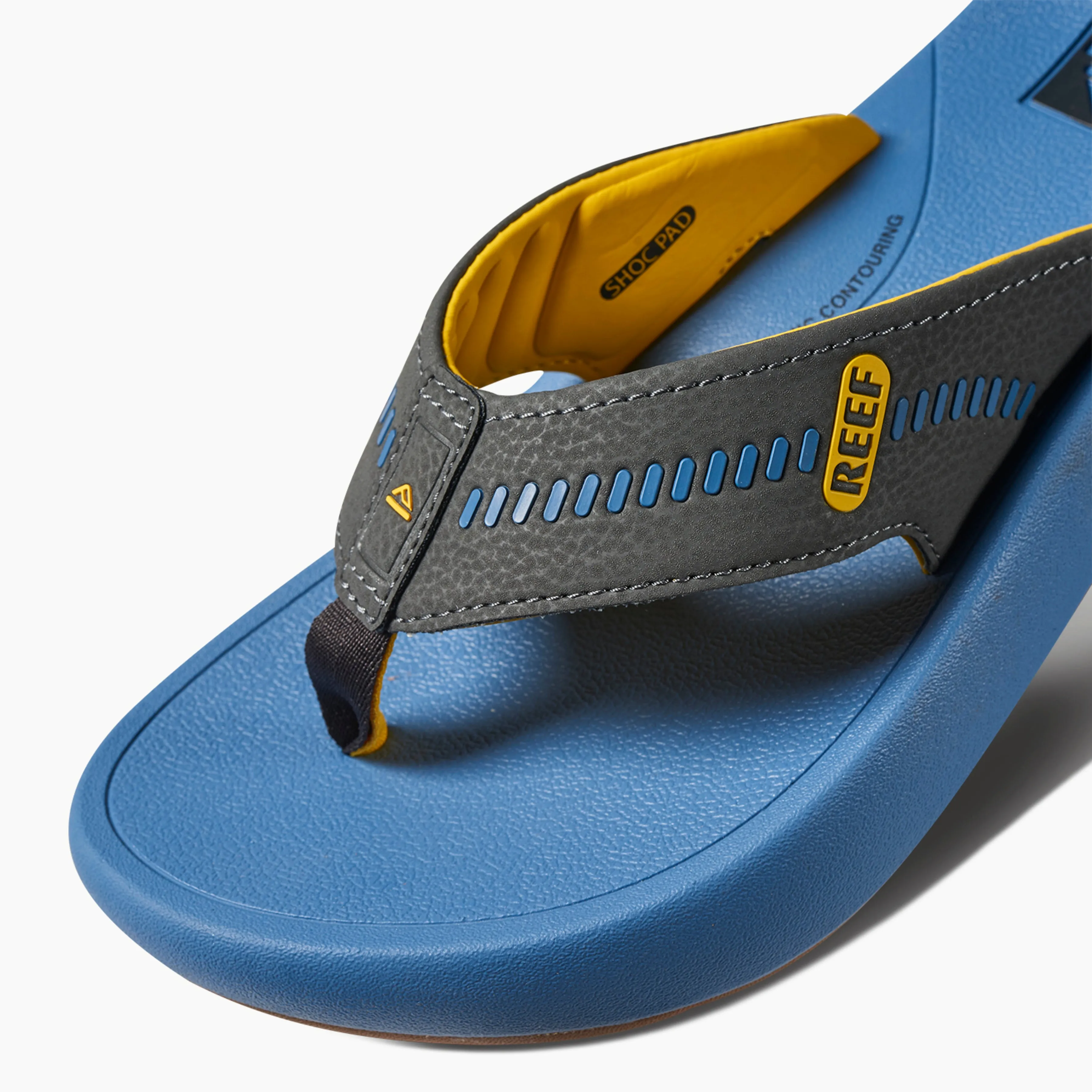 REEF Cruiser