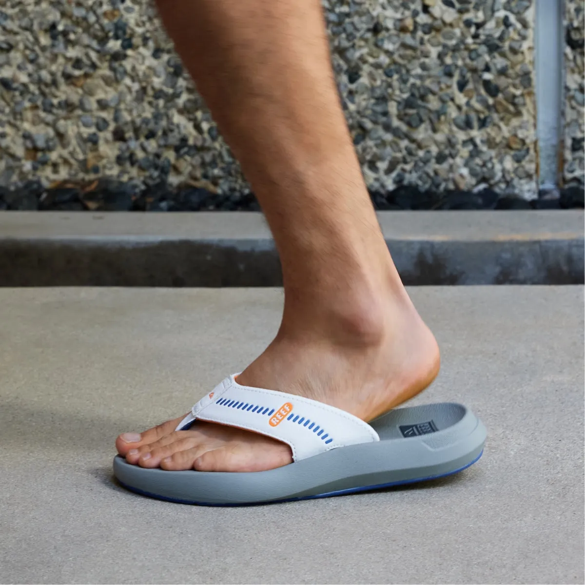 REEF Cruiser