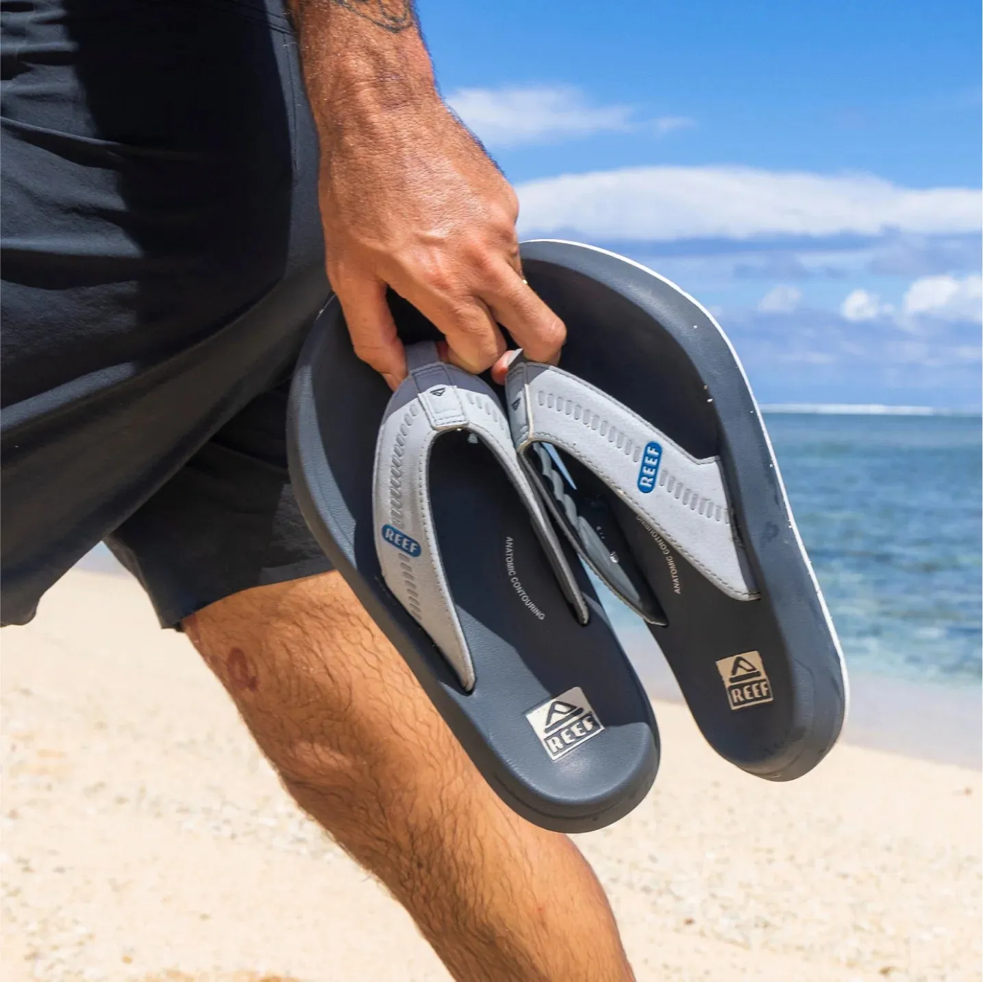 REEF Cruiser