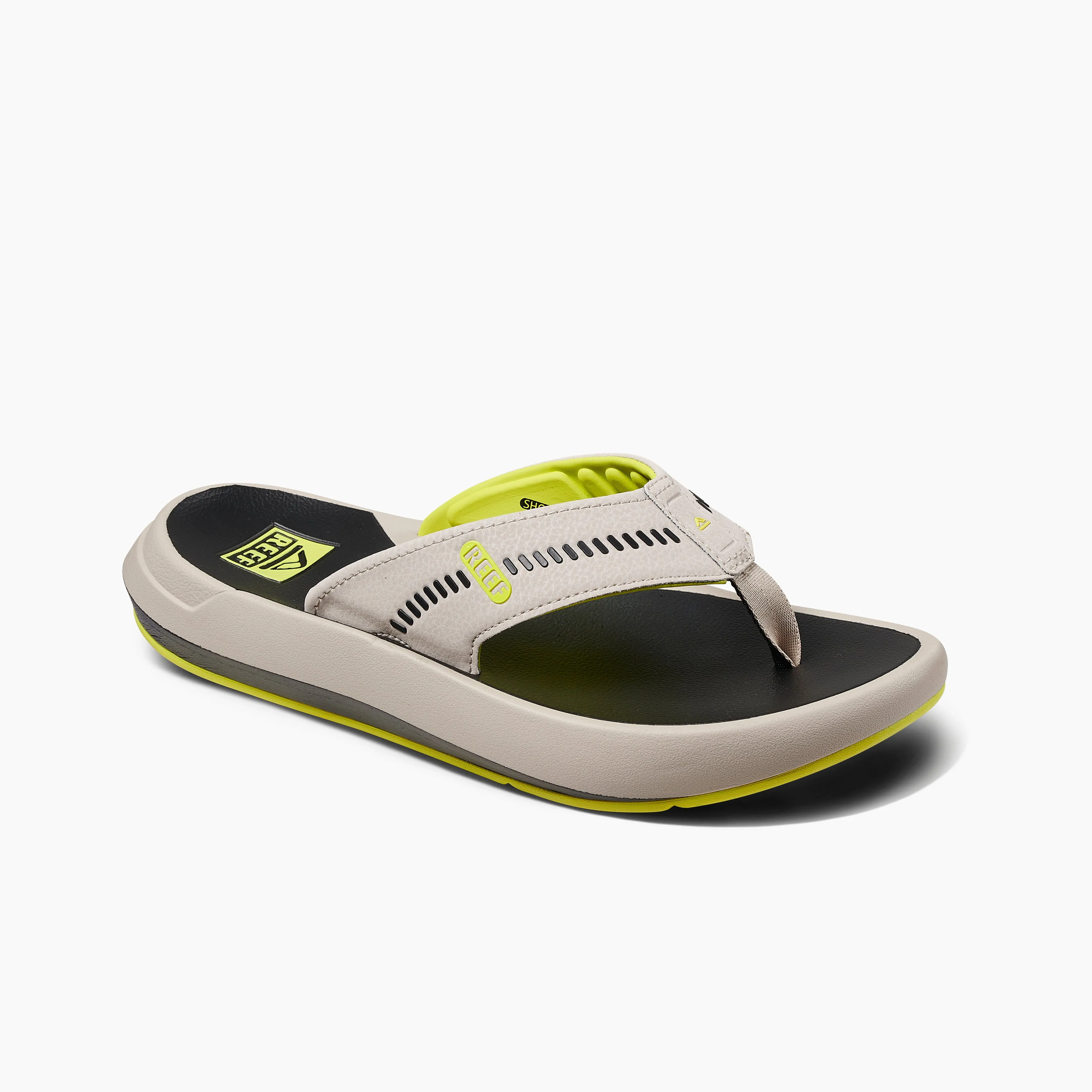 REEF Cruiser