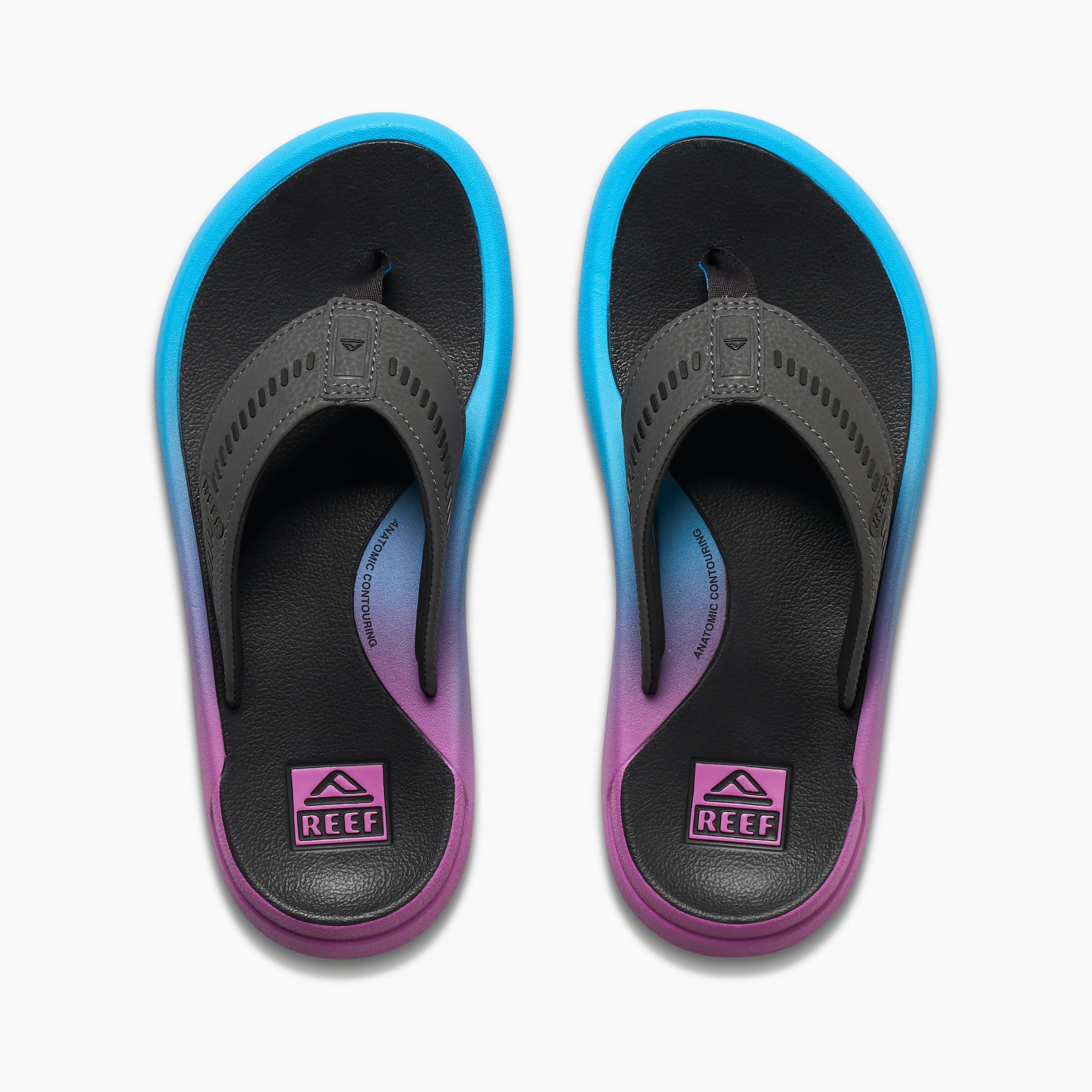REEF Cruiser