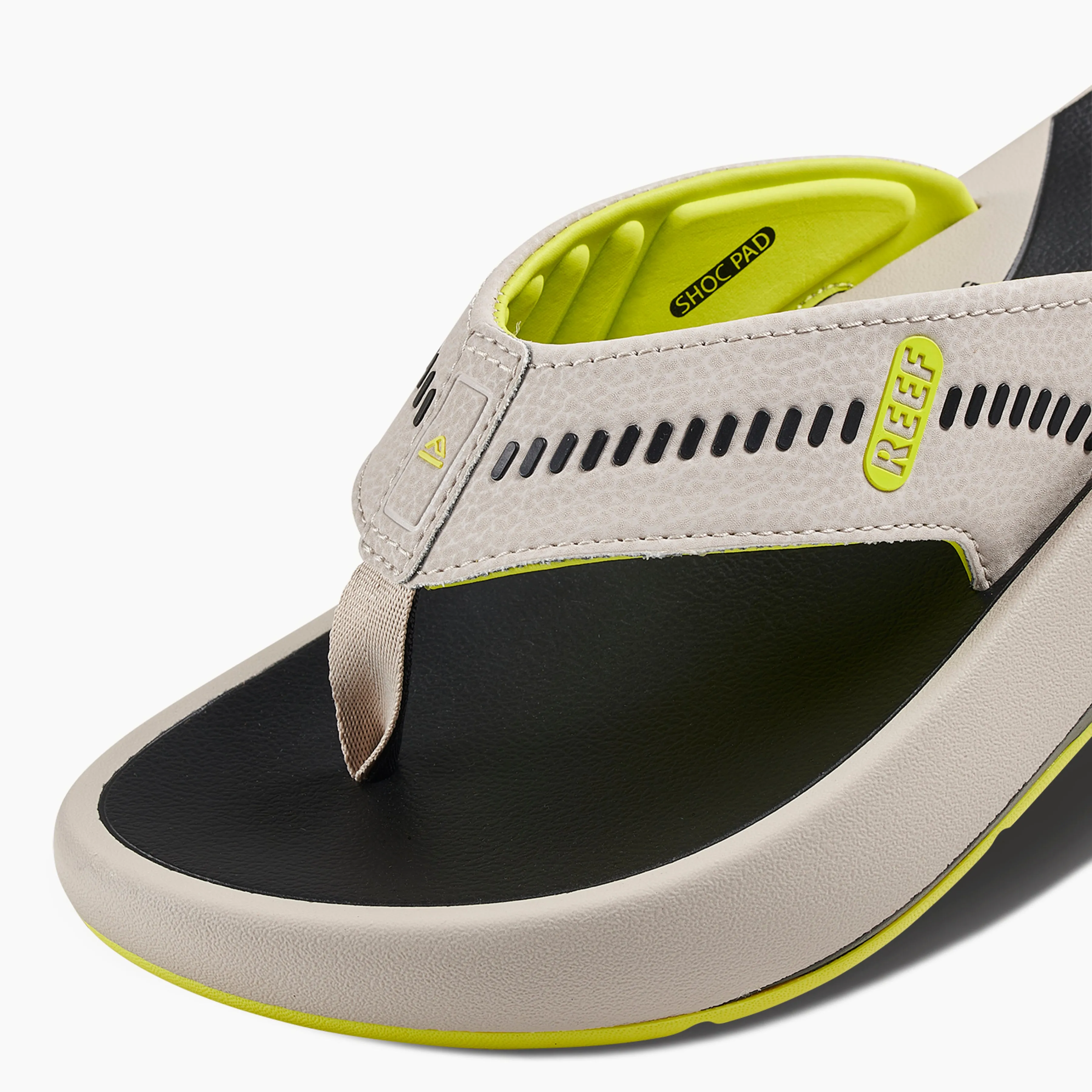 REEF Cruiser