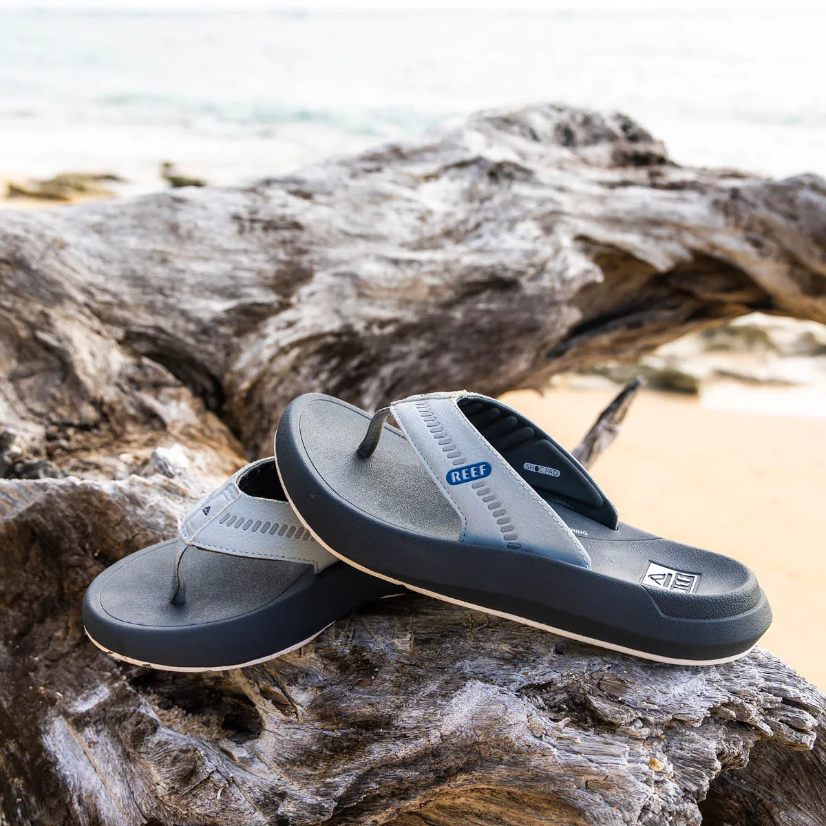 REEF Cruiser