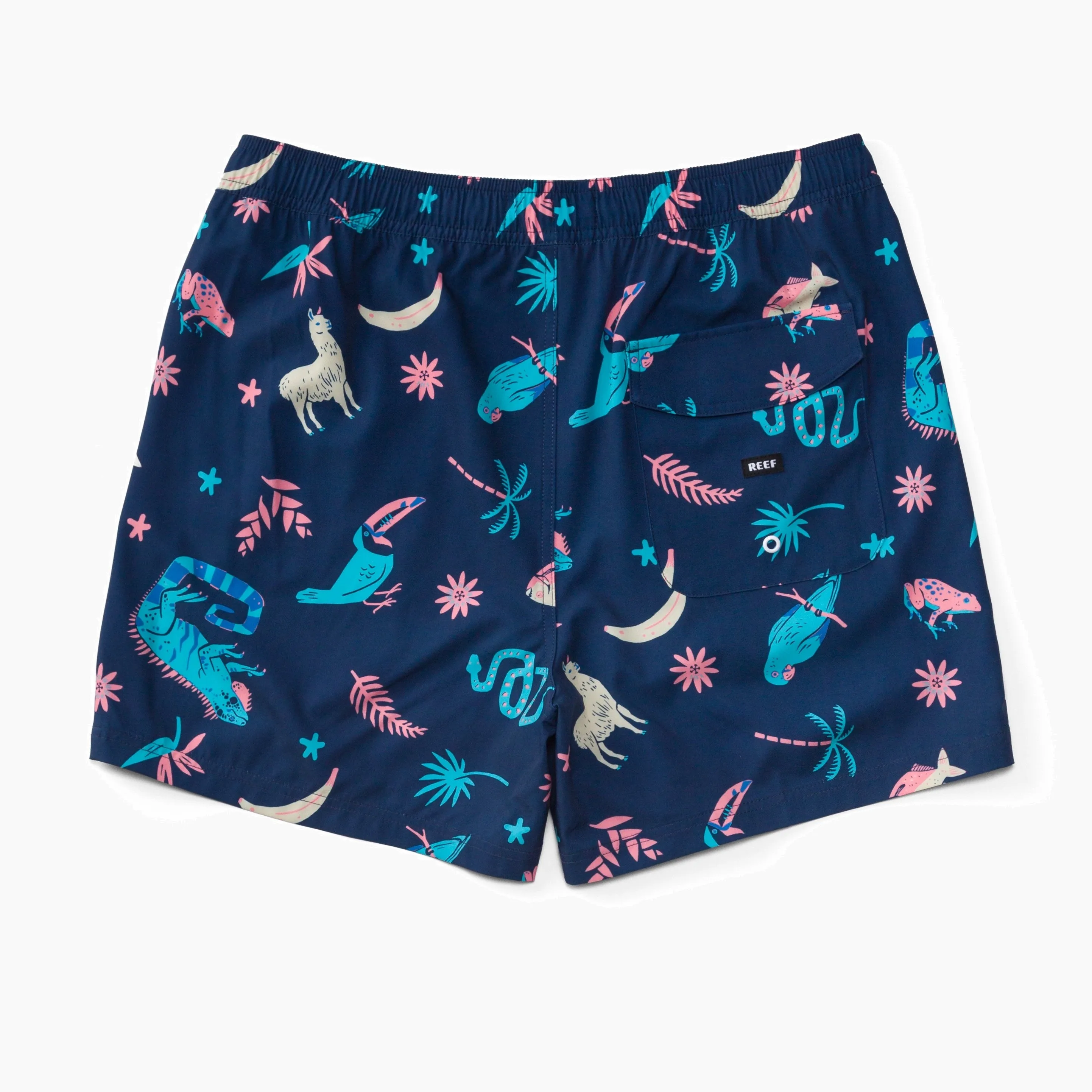 REEF Myers Elastic Waist Short 16"