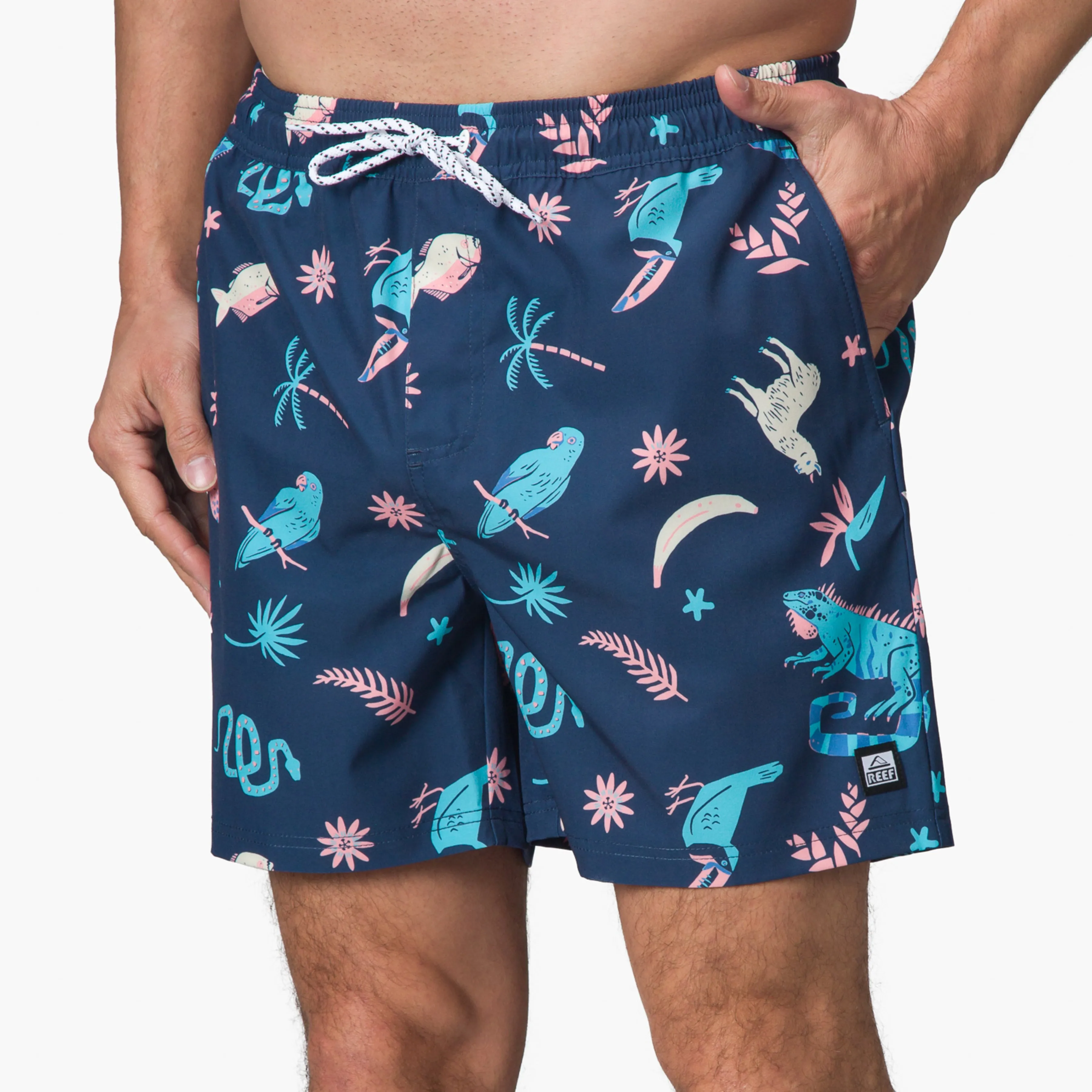 REEF Myers Elastic Waist Short 16"
