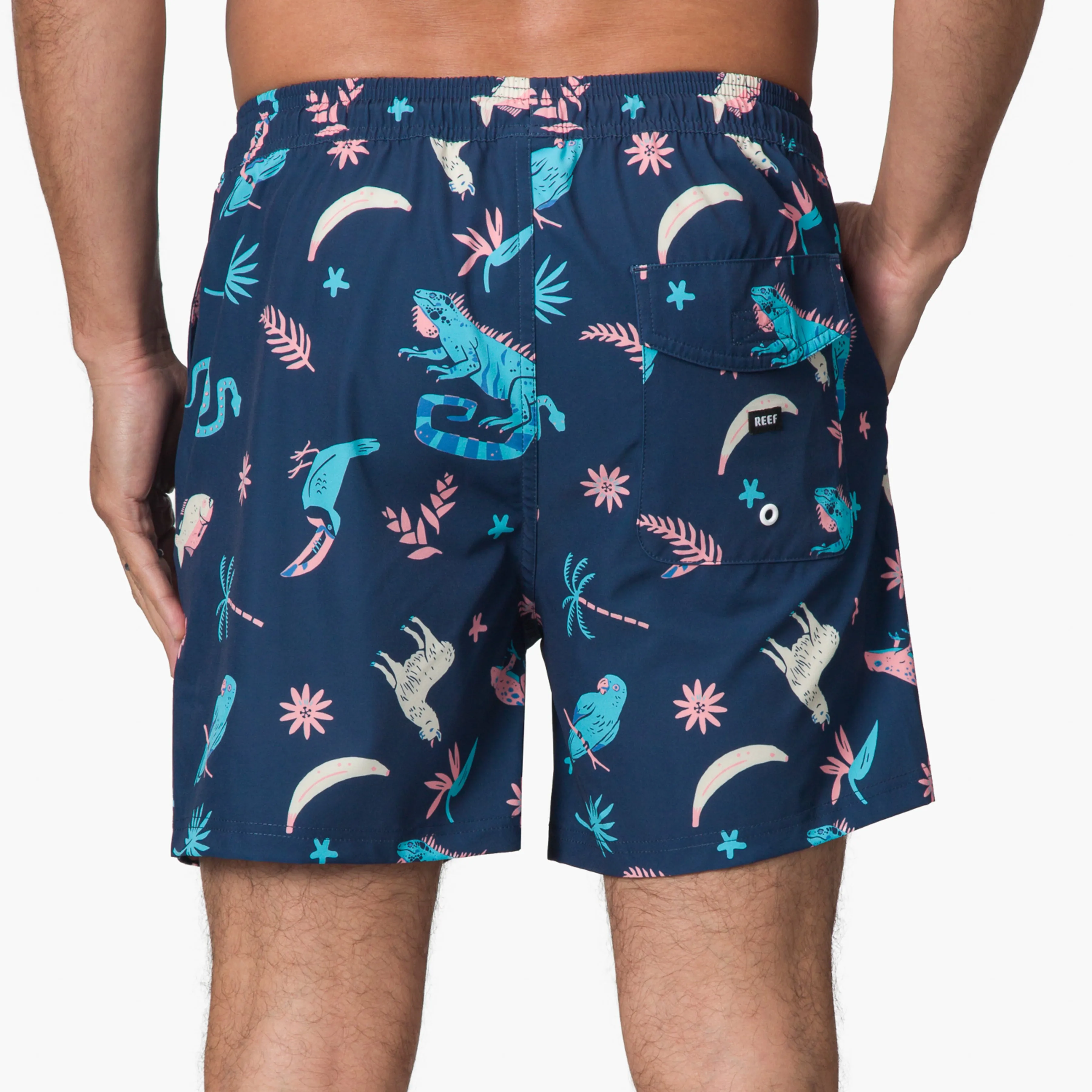REEF Myers Elastic Waist Short 16"