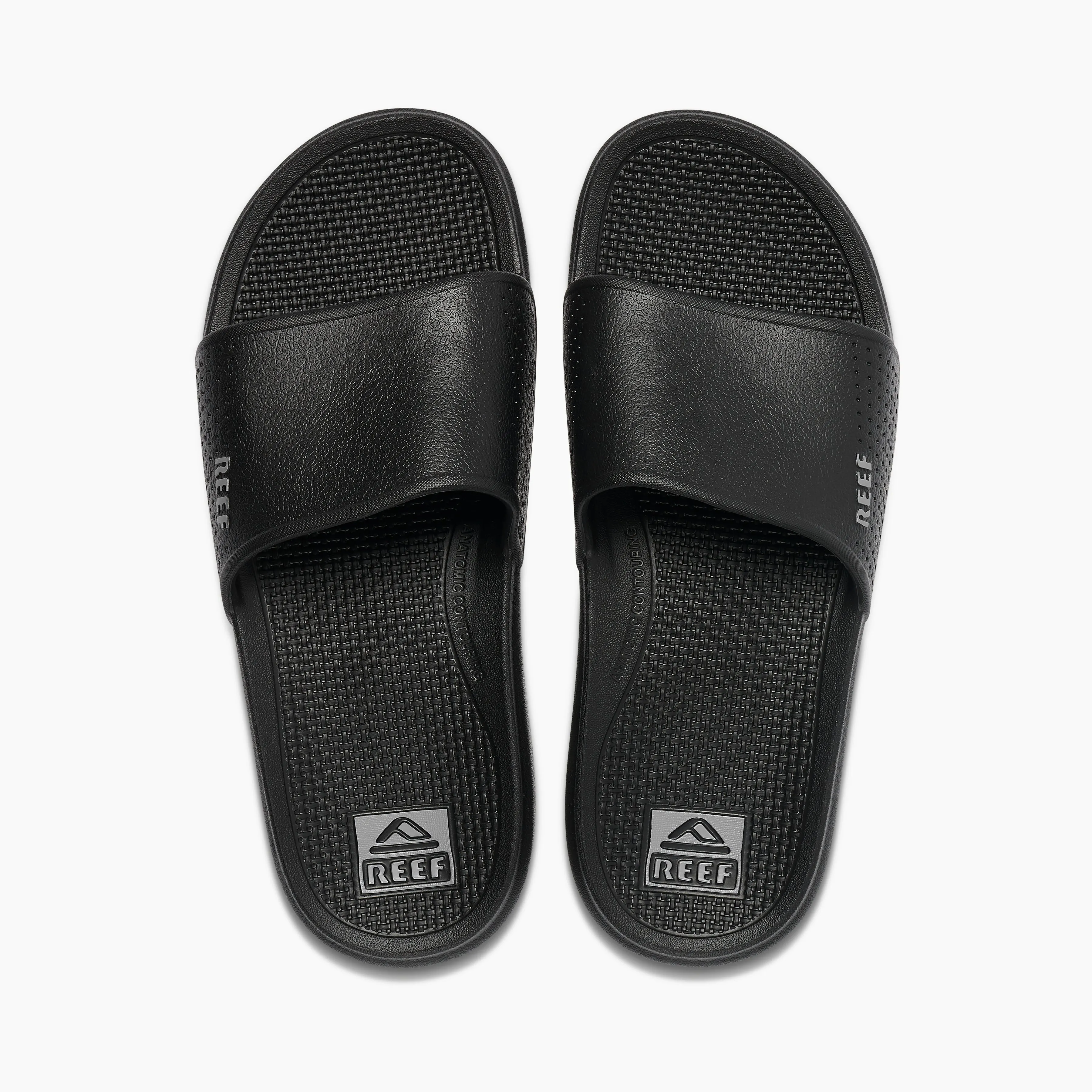 REEF Oasis Slide