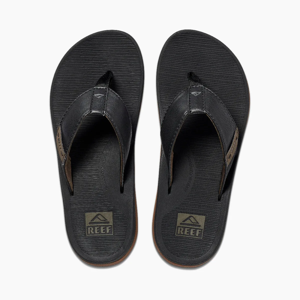 REEF Reef Santa Ana