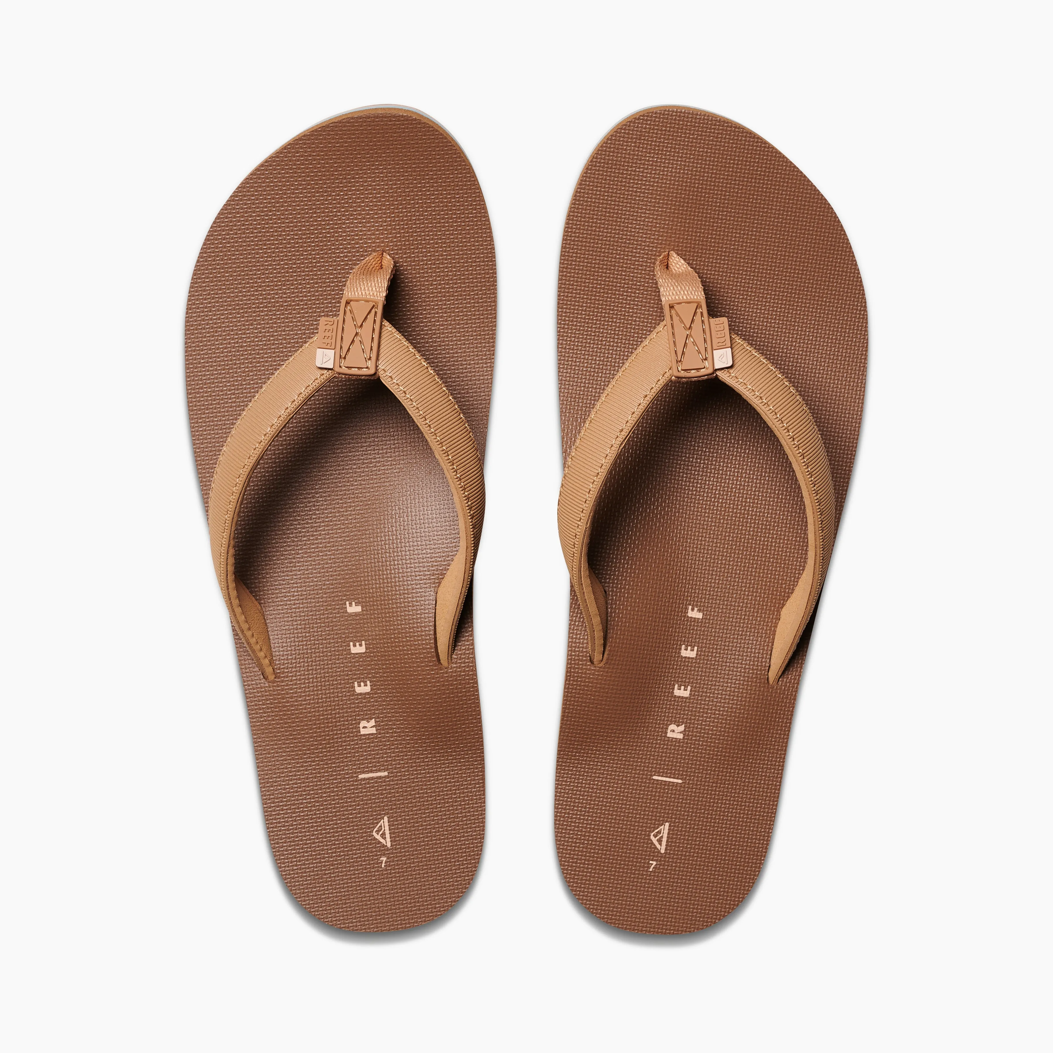 REEF Reef Solana