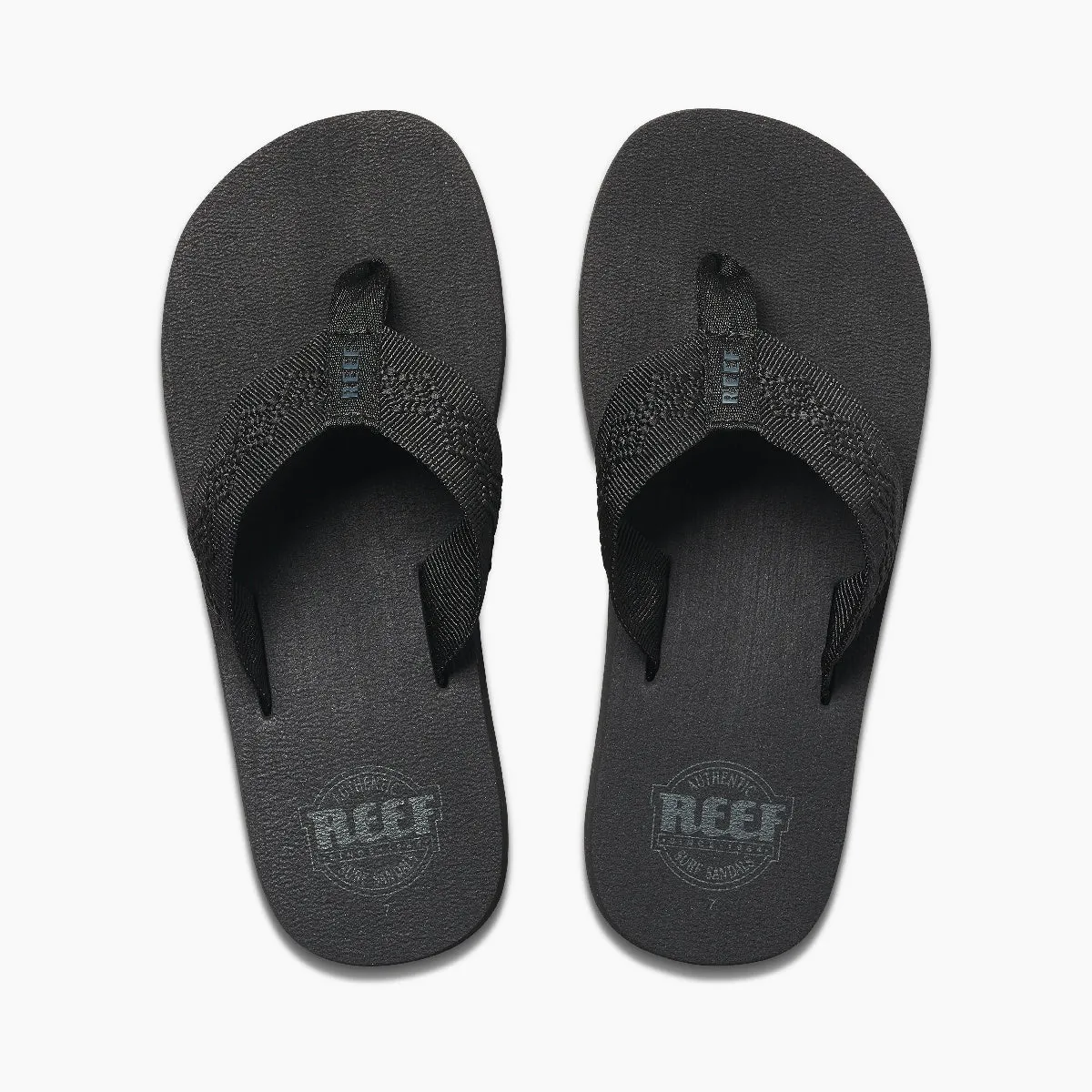 REEF Sandy