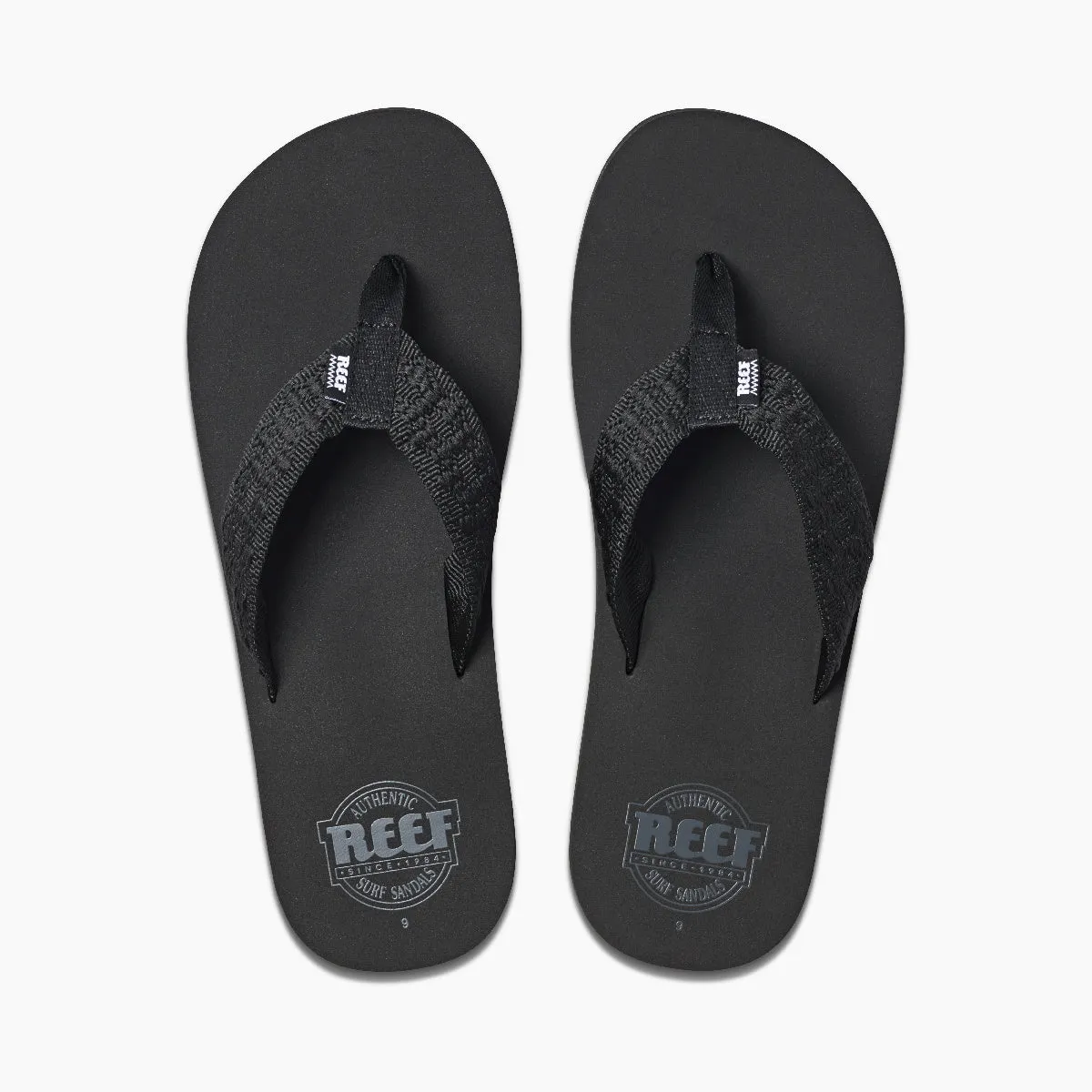 REEF Smoothy