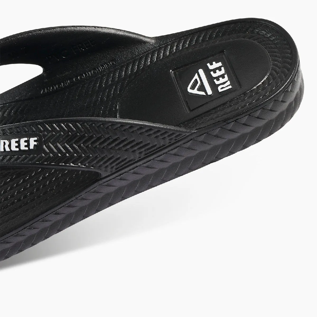 REEF Water Court